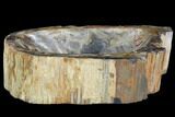 Polished Petrified Wood Bowl - Madagascar #102865-1